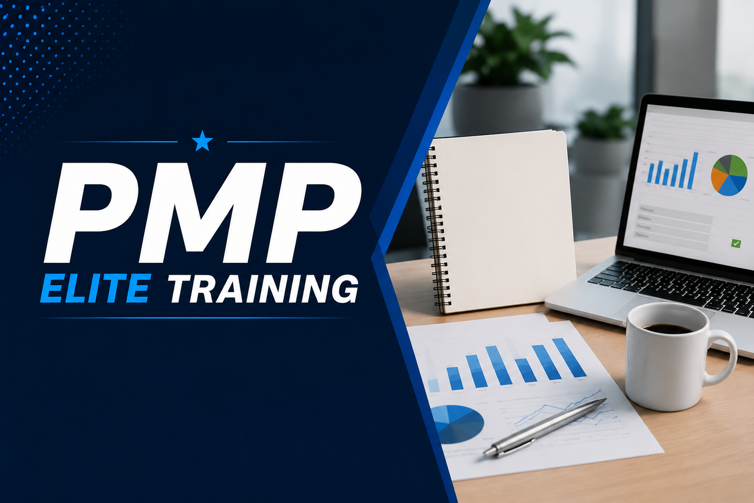 PMP Elite Training